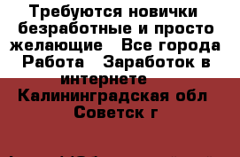 Требуются новички, безработные и просто желающие - Все города Работа » Заработок в интернете   . Калининградская обл.,Советск г.